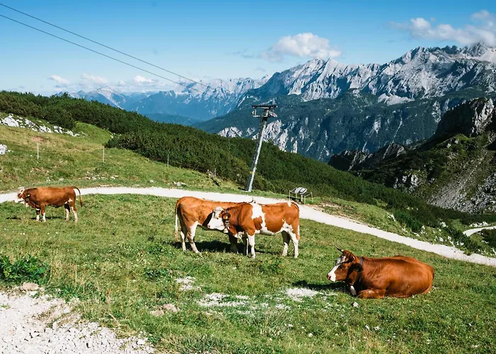 Henri 酒店 加爾米施-帕滕基興