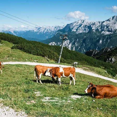 Henri Ξενοδοχείο Γκάρμις-Παρτενκίρχεν