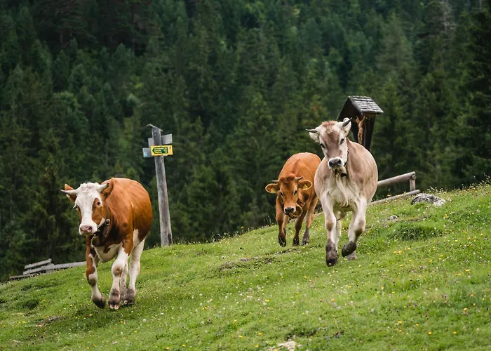 Henri Hotel Garmisch-Partenkirchen